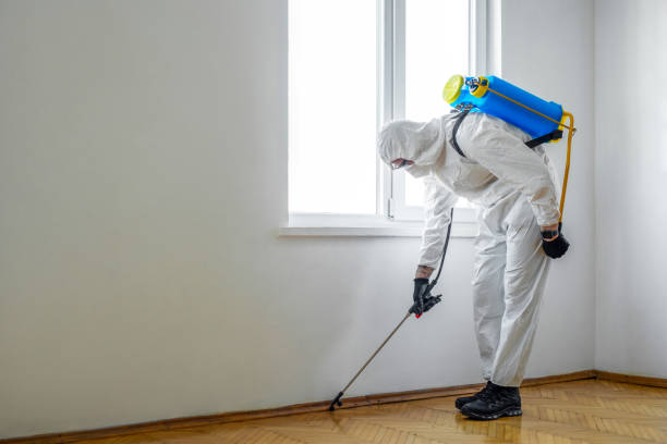 Best Fumigation Services  in West Monroe, LA